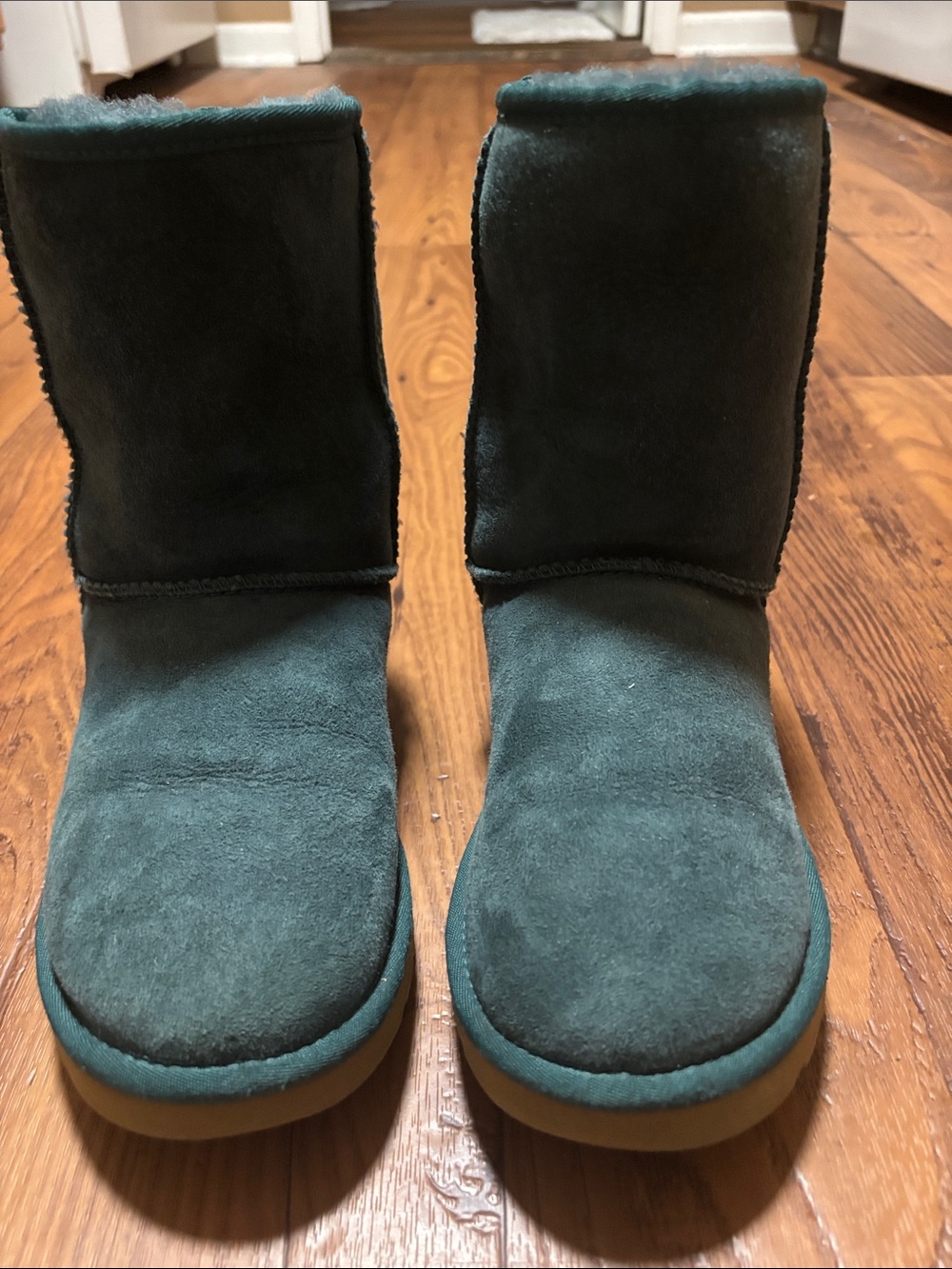 UGG Boots | Teal | Short Suede | Ankle Boots